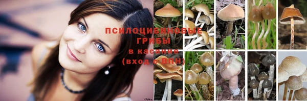 MESCALINE Липки