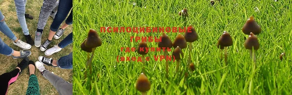 синтетический гашиш Лабытнанги