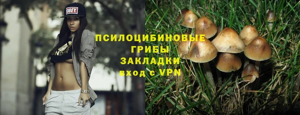 PSILOCYBIN Бородино