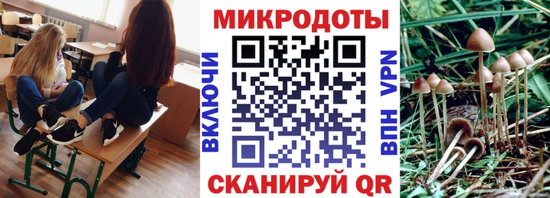 Галлюциногенные грибы прущие грибы  Мариинский Посад 